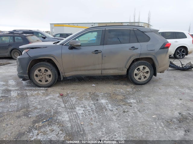 2021 Toyota Rav4 Le მანქანა იყიდება აუქციონზე, vin: 2T3B1RFV1MC215502, აუქციონის ნომერი: 12542665