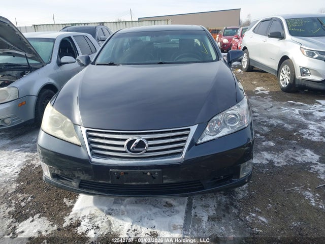 2011 Lexus Es 350 350 მანქანა იყიდება აუქციონზე, vin: JTHBK1EG5B2429865, აუქციონის ნომერი: 12542757