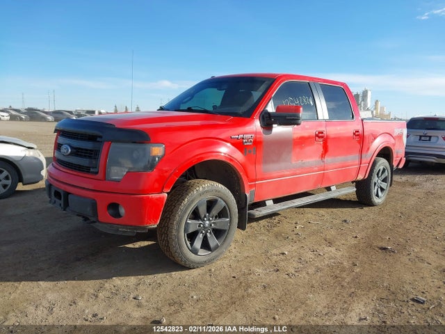 2013 Ford F-150 Fx4 მანქანა იყიდება აუქციონზე, vin: 1FTFW1EF0DFD59203, აუქციონის ნომერი: 12542823