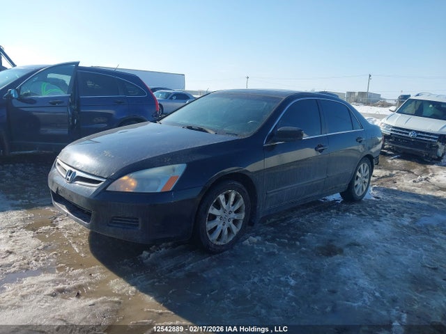 12542889 :رقم المزاد ، 1HGCM66537A802555 vin ، 2007 Honda Accord مزاد بيع