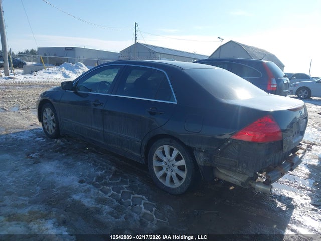 12542889 :رقم المزاد ، 1HGCM66537A802555 vin ، 2007 Honda Accord مزاد بيع