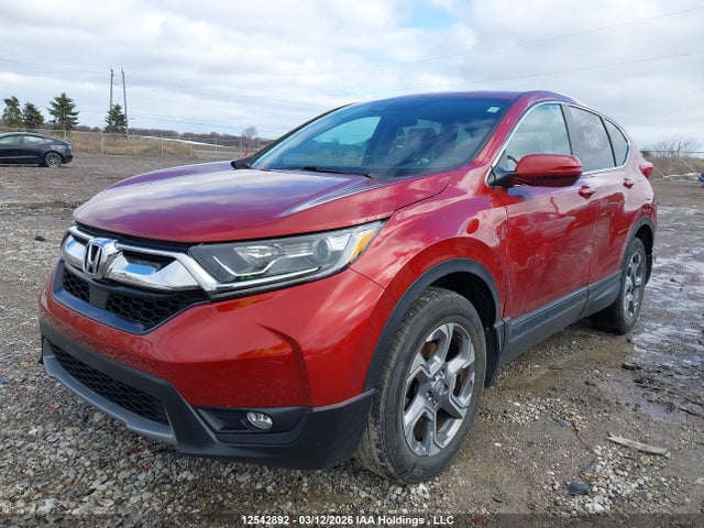 Honda CR-V EX 2019 2HKRW2H51KH114483 Image 2