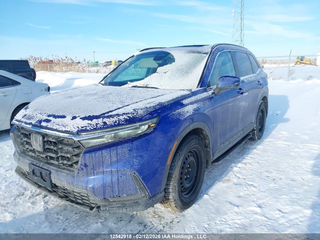 2HKRS4H52PH118332 Honda CR-V