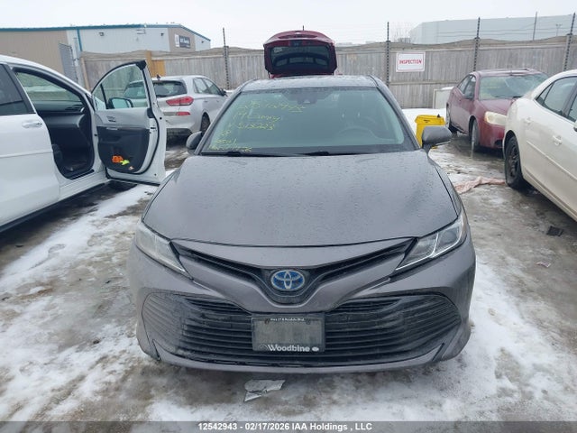 4T1B31HK4KU513223 Toyota CAMRY HYBRID