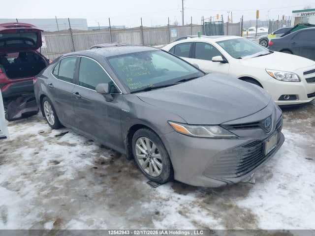 4T1B31HK4KU513223 Toyota CAMRY HYBRID