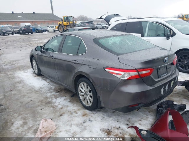 4T1B31HK4KU513223 Toyota CAMRY HYBRID