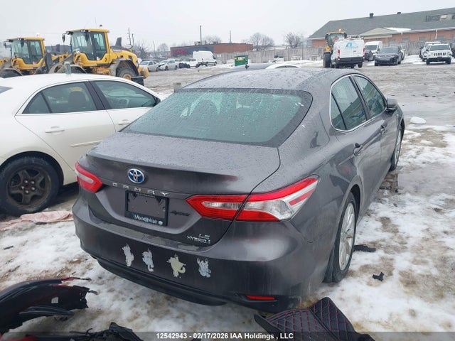 4T1B31HK4KU513223 Toyota CAMRY HYBRID
