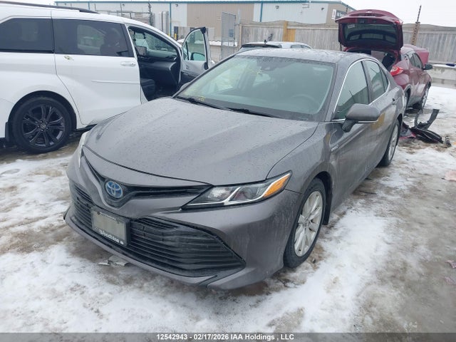 4T1B31HK4KU513223 Toyota CAMRY HYBRID