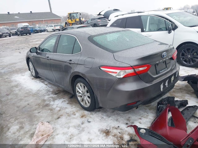 4T1B31HK4KU513223 Toyota CAMRY HYBRID