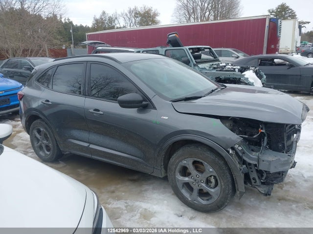 12542969 :رقم المزاد ، 1FMCU9MN0RUB40689 vin ، 2024 Ford Escape St-line مزاد بيع