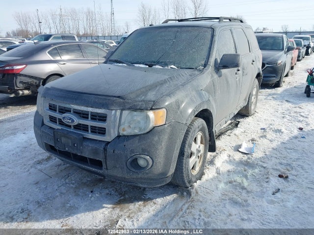 Продаж на аукціоні авто 2012 Ford Escape Xlt, vin: 1FMCU9DGXCKB36122, номер лоту: 12542983