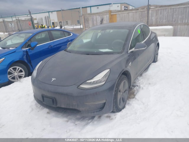 2020 Tesla Model 3 მანქანა იყიდება აუქციონზე, vin: 5YJ3E1EA2LF625303, აუქციონის ნომერი: 12543027