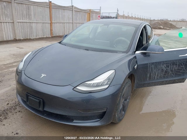 2020 Tesla Model 3 მანქანა იყიდება აუქციონზე, vin: 5YJ3E1EA2LF625303, აუქციონის ნომერი: 12543027