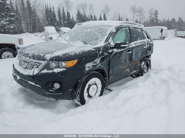 12543049 :رقم المزاد ، 5XYKUDA2XDG385698 vin ، 2013 Kia Sorento مزاد بيع