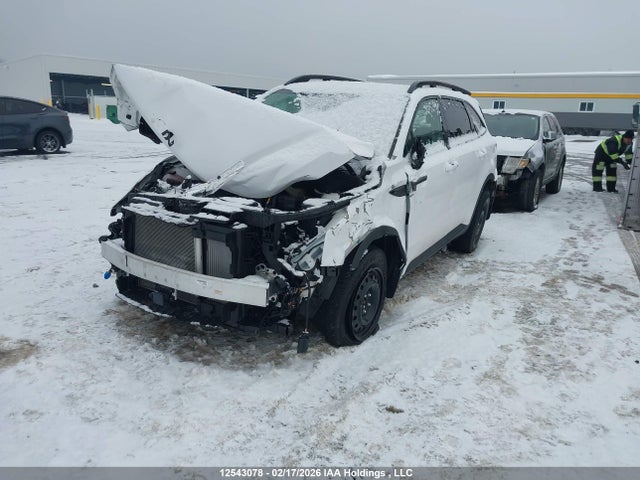 12543078 :رقم المزاد ، 5XYRHDJF4SG384159 vin ، 2025 Kia Sorento مزاد بيع