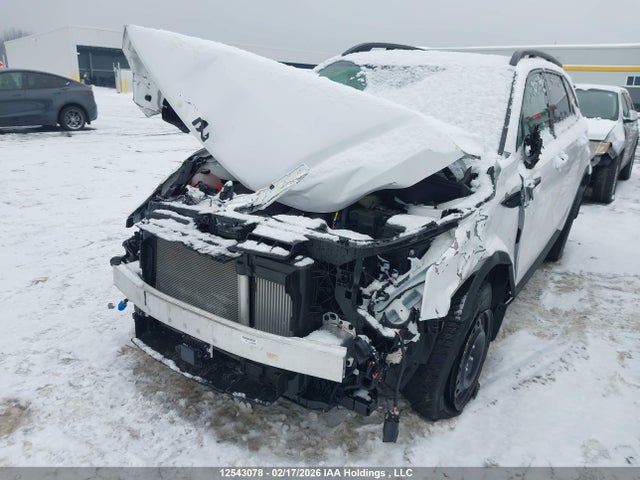 12543078 :رقم المزاد ، 5XYRHDJF4SG384159 vin ، 2025 Kia Sorento مزاد بيع