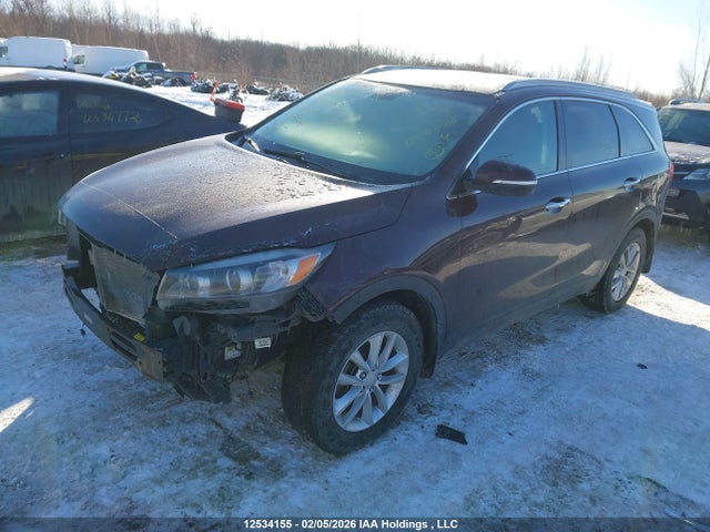 5XYPG4A37GG128606 KIA Sorento 2.4l Lx