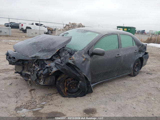 12543237 :رقم المزاد ، 2T1BU4EE0CC776406 vin ، 2012 Toyota Corolla S/le مزاد بيع