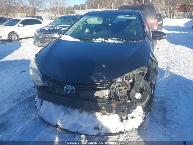 2T1BURHE8GC666203 Toyota Corolla L/le/le Pls/prm/s/s Pls