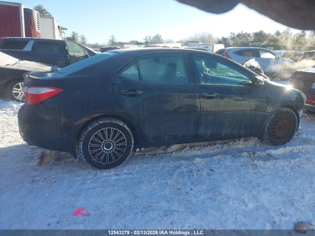2T1BURHE8GC666203 Toyota Corolla L/le/le Pls/prm/s/s Pls
