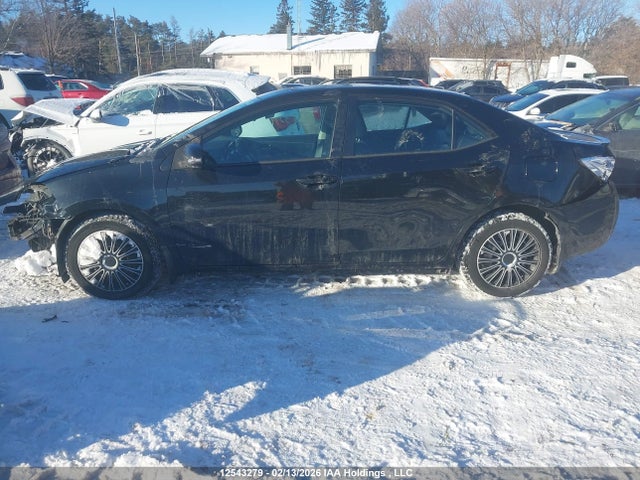 2T1BURHE8GC666203 Toyota Corolla L/le/le Pls/prm/s/s Pls
