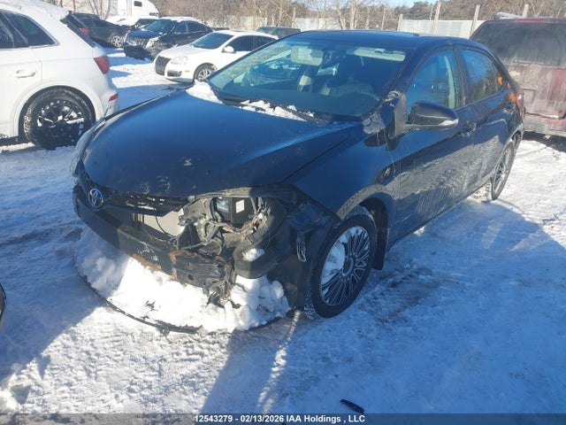 2T1BURHE8GC666203 Toyota Corolla L/le/le Pls/prm/s/s Pls