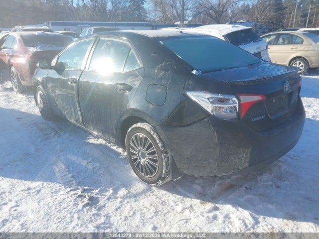 2T1BURHE8GC666203 Toyota Corolla L/le/le Pls/prm/s/s Pls