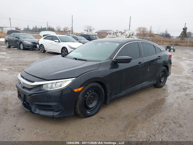 2HGFC2F58GH029687 Honda Civic Lx