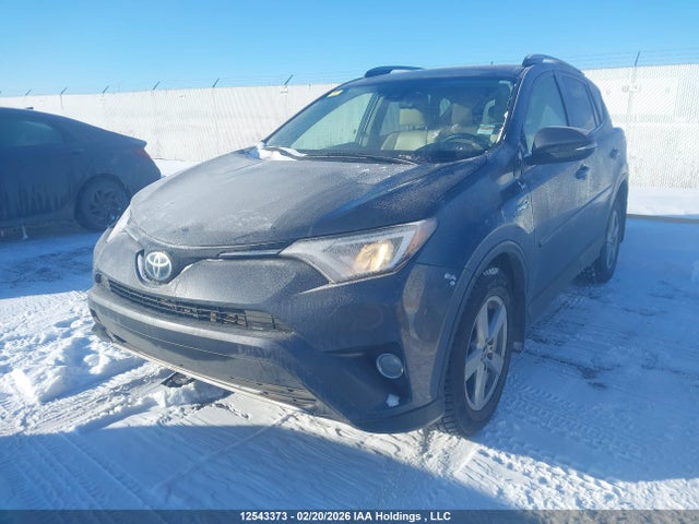 JTMRJREV5JD240071 Toyota Rav4 Hv Le Plus/xle