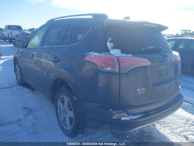 JTMRJREV5JD240071 Toyota Rav4 Hv Le Plus/xle