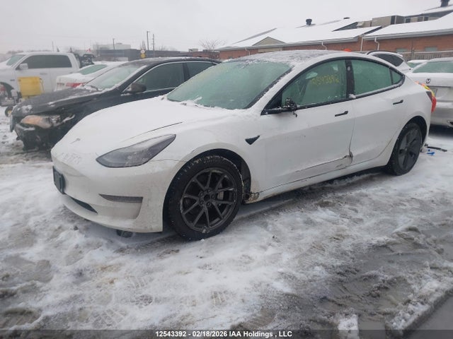 5YJ3E1EA0MF018768 Tesla MODEL 3