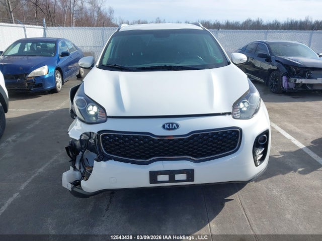 12543438 :رقم المزاد ، KNDPNCAC7K7583557 vin ، 2019 Kia Sportage Ex/ex Premium/ex Tech مزاد بيع