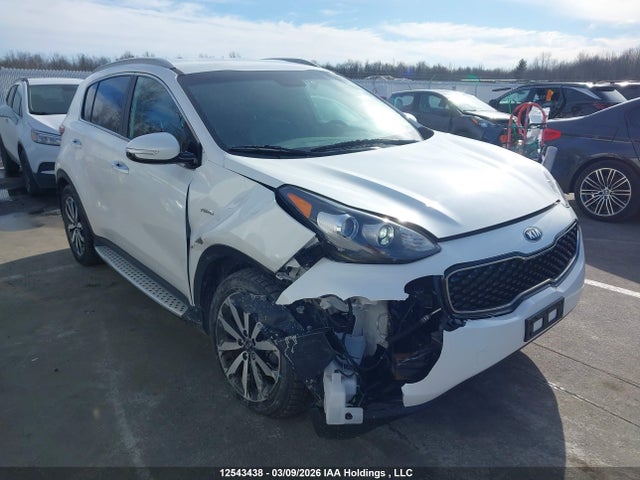 12543438 :رقم المزاد ، KNDPNCAC7K7583557 vin ، 2019 Kia Sportage Ex/ex Premium/ex Tech مزاد بيع