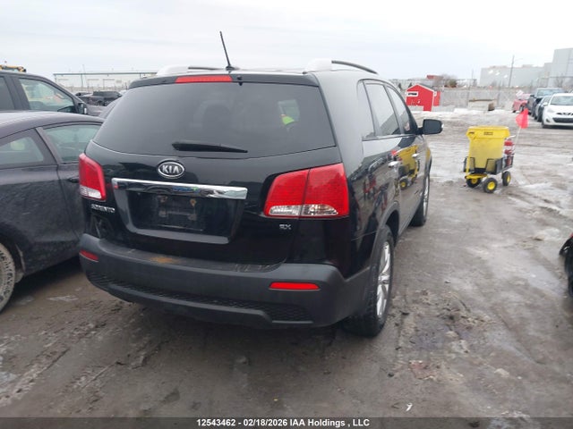 2011 Kia Sorento Ex მანქანა იყიდება აუქციონზე, vin: 5XYKUCA14BG049673, აუქციონის ნომერი: 12543462