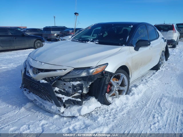 4T1B61HK9KU230419 Toyota CAMRY XSE