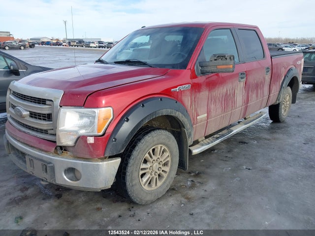 Продаж на аукціоні авто 2014 Ford F150 Supercrew, vin: 1FTVW1ET8EKF30192, номер лоту: 12543524