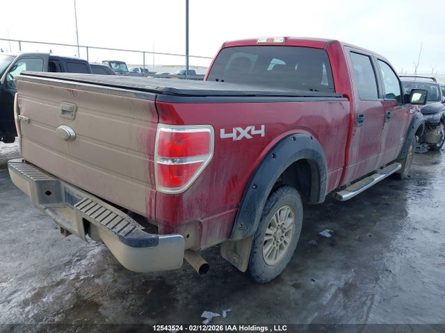 Продаж на аукціоні авто 2014 Ford F150 Supercrew, vin: 1FTVW1ET8EKF30192, номер лоту: 12543524