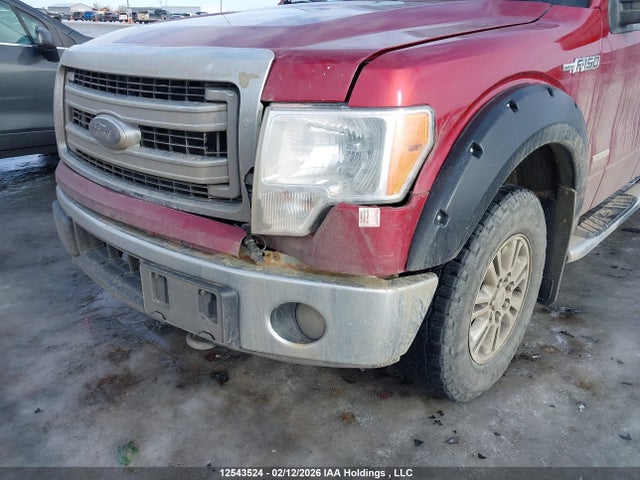 Продаж на аукціоні авто 2014 Ford F150 Supercrew, vin: 1FTVW1ET8EKF30192, номер лоту: 12543524
