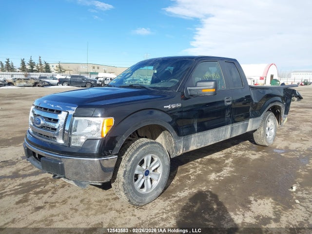 Aukcja sprzedaży 2011 Ford F-150 Xlt, vin: 1FTEX1EM0BFD17912, numer aukcji: 12543583