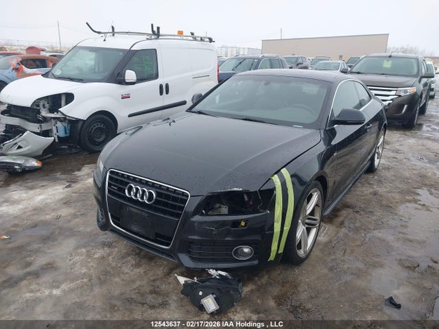 Продаж на аукціоні авто 2009 Audi A5 Quattro, vin: WAUDK68TX9A044752, номер лоту: 12543637