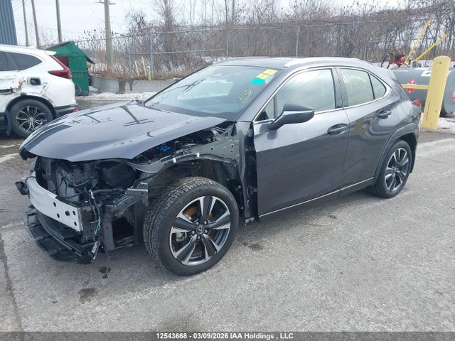 2025 Lexus Ux 300h მანქანა იყიდება აუქციონზე, vin: JTHUCJDH8S2008044, აუქციონის ნომერი: 12543668