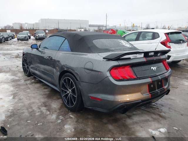 1FATP8UH1N5125452 Ford Mustang