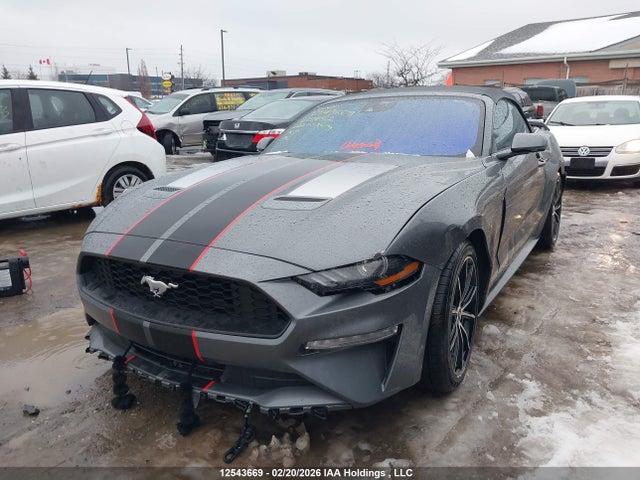 1FATP8UH1N5125452 Ford Mustang