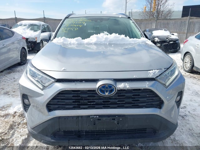 12543682 :رقم المزاد ، 2T3RWRFV2KW039149 vin ، 2019 Toyota Rav4 Hybrid Xle مزاد بيع