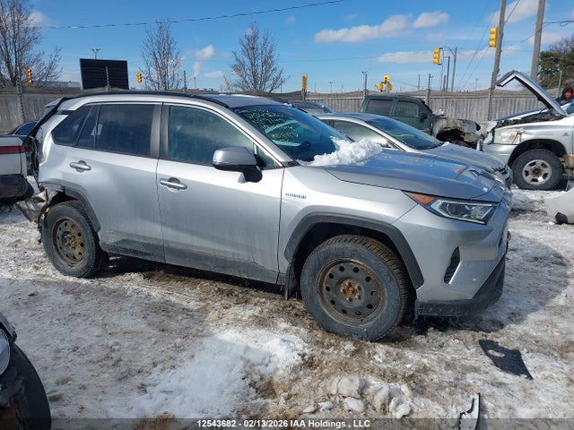 12543682 :رقم المزاد ، 2T3RWRFV2KW039149 vin ، 2019 Toyota Rav4 Hybrid Xle مزاد بيع