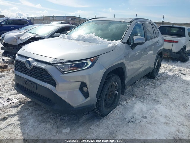 12543682 :رقم المزاد ، 2T3RWRFV2KW039149 vin ، 2019 Toyota Rav4 Hybrid Xle مزاد بيع
