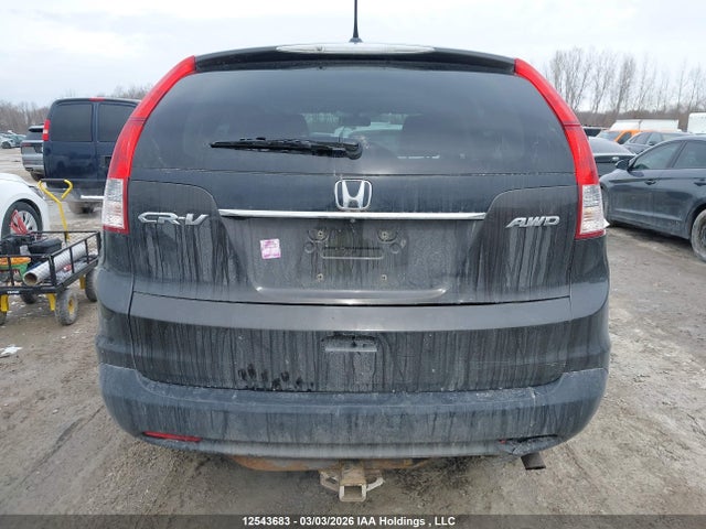 2HKRM4H73EH126688 Honda CR-V EXL