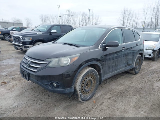 2HKRM4H73EH126688 Honda CR-V EXL