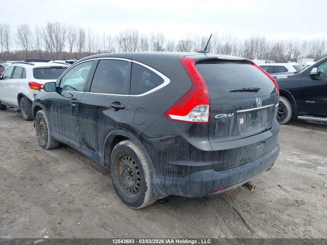 2HKRM4H73EH126688 Honda CR-V EXL