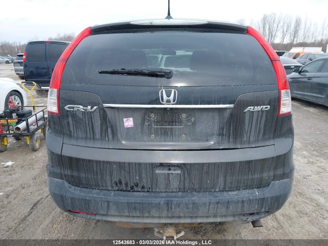 2HKRM4H73EH126688 Honda CR-V EXL